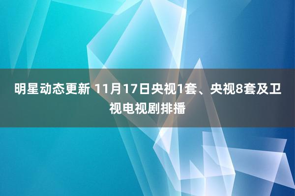 明星动态更新 11月17日央视1套、央视8套及卫视电视剧排播