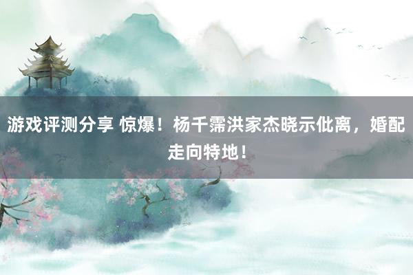 游戏评测分享 惊爆！杨千霈洪家杰晓示仳离，婚配走向特地！