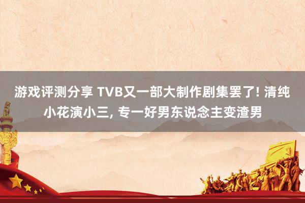 游戏评测分享 TVB又一部大制作剧集罢了! 清纯小花演小三, 专一好男东说念主变渣男