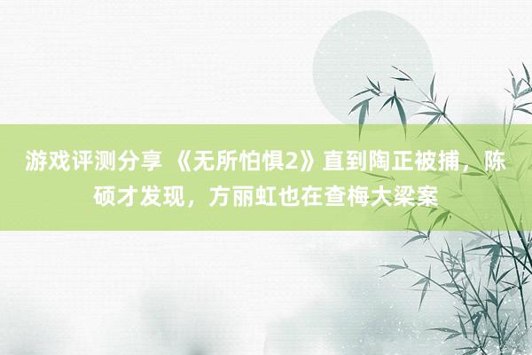 游戏评测分享 《无所怕惧2》直到陶正被捕，陈硕才发现，方丽虹也在查梅大梁案